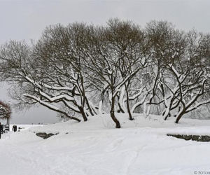 Zima 2021 w Sopocie. Kurort pod grubą warstwą śniegu 11.02.2021 r.