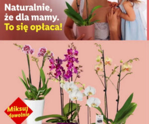 Dzień Matki w Lidlu