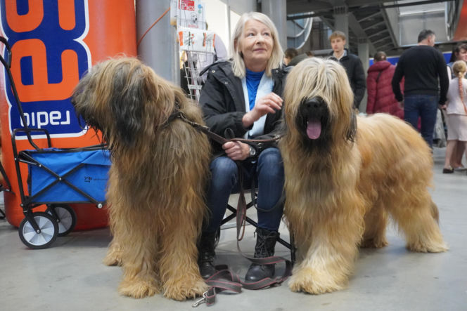 Międzynarodowa Wystawa Psów Rasowych Duo Cacib Kielce 2025