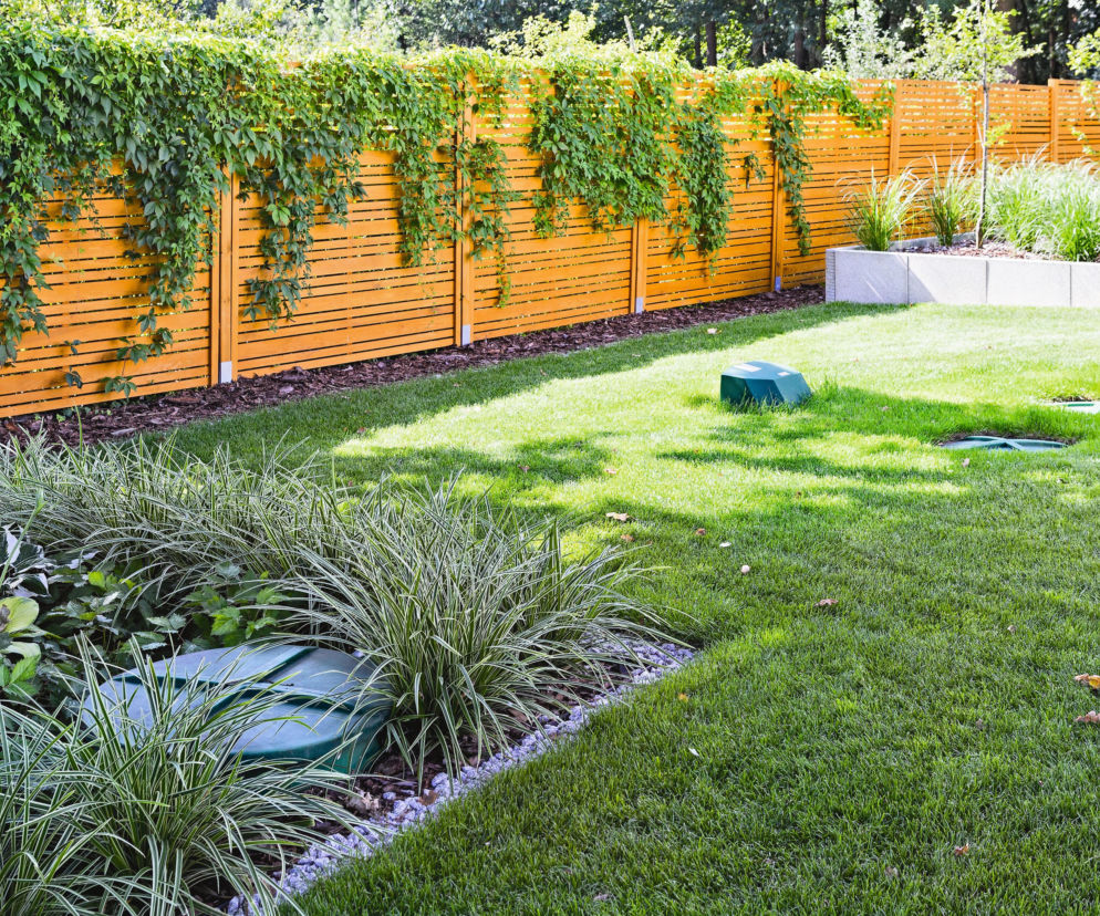 Ogrodzenie na granicy działek. Kwestie związane z własnością i utrzymaniem