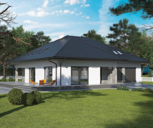 C329 - Tymiankowy