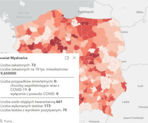 Koronawirus w województwie śląskim. Tak wygląda sytuacja w poszczególnych powiatach [RAPORT, 19 MARCA]