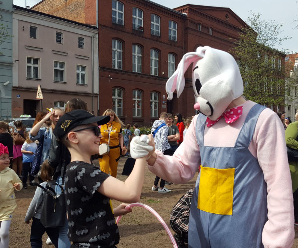 Zające chodzące i z czekolady w centrum Leszna