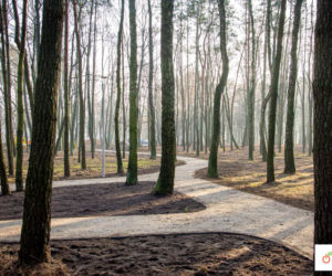 Bełchatów: Prace w parku 1000-lecia na finiszu! Co się zmieniło i jak się prezentuje? 