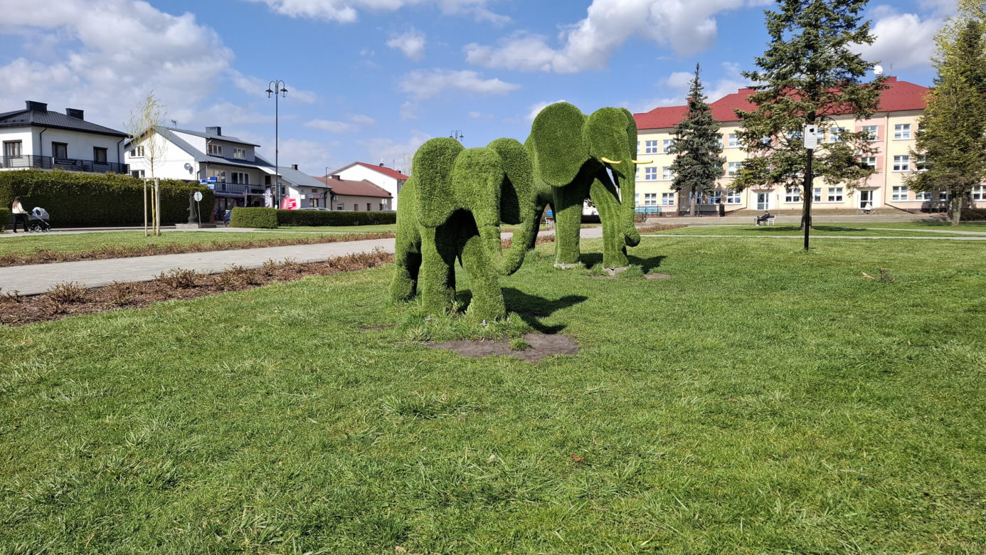 Spacer po Janowie Lubelskim 2025