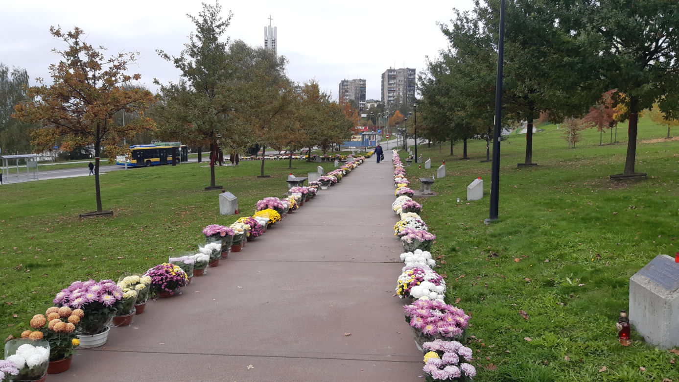 Dwa tysiące chryzantem ozdobiło park w Tarnowie