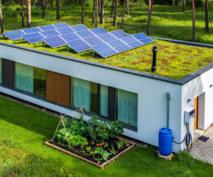 Rewolucja w Twoim domu! Deszczówka zmienia zasady gry: niższe rachunki i ekologia w zasięgu ręki