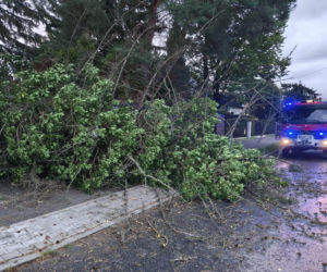 Burze nad Polską. Setki interwencji, tysiące domów bez prądu. IMGW ostrzega. Gdzie będzie najgorzej?