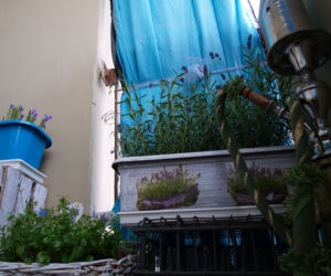 BALKON 2014 zdjecie nr 6