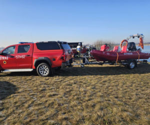 50 martwych łabędzi w Jutrosinie. Dlaczego padły?