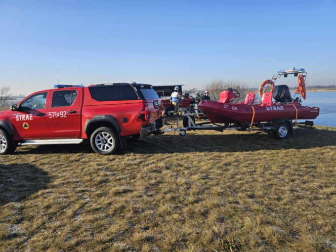 50 martwych łabędzi w Jutrosinie. Dlaczego padły?