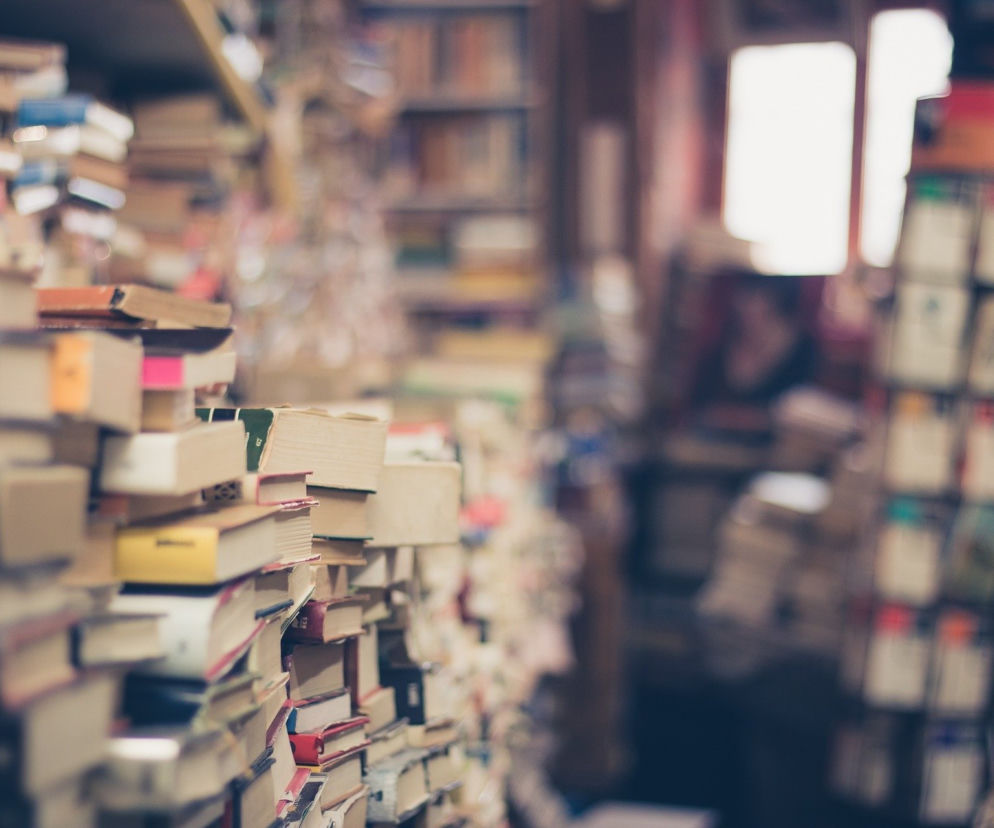 Święto miłośników książek już w ten weekend! Startuje Big Book Festival 2021