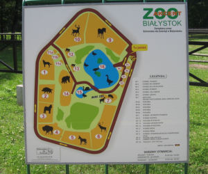 Akcent ZOO - ulica Podleśna