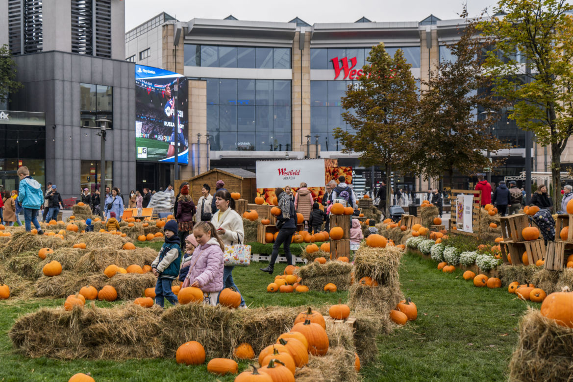 Farma Dyniowa przed galerią handlową Westfield Arkadia