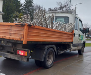 Bajkowa instalacja przed zamojski ratuszem