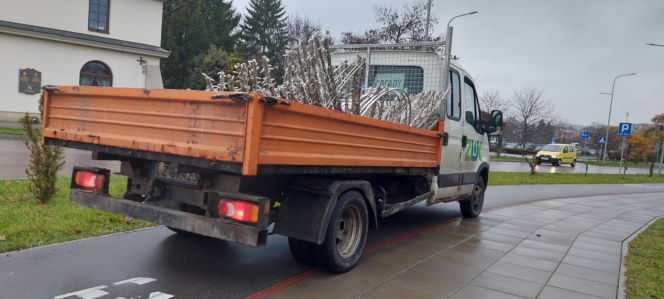 Bajkowa instalacja przed zamojski ratuszem