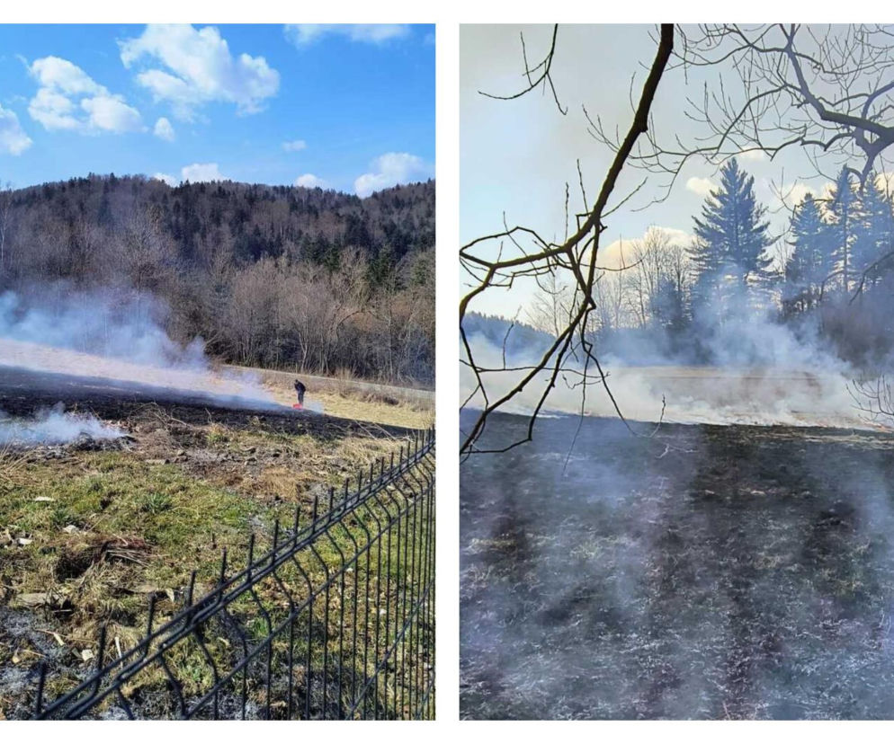 Ktoś podpalił łąkę w Bieszczadach