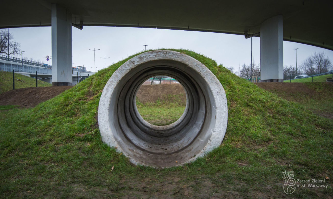 Plac zabaw dla psów