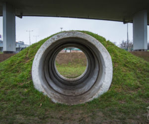 Plac zabaw dla psów