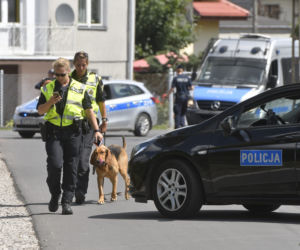 Do poszukiwań Dawidka zostały włączone specjalne psy niemieckiej policji