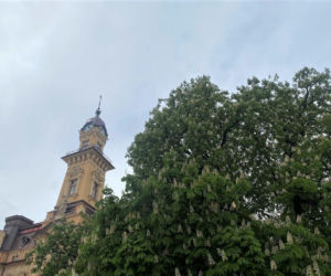 Zamień zużyte baterie na dawkę tlenu.  Przed nami kolejna ekologiczna akcja w Nowym Sączu 