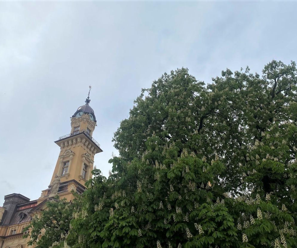 Zamień zużyte baterie na dawkę tlenu.  Przed nami kolejna ekologiczna akcja w Nowym Sączu 
