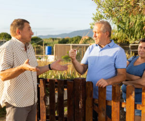 Odległość od płotu ma zasadnicze znaczenie. Nigdy tego nie rób