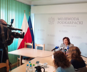 Ewa Leniart wraca na stanowisko wojewody Podkarpacia. Kto zastąpi ją w Sejmie? [ZDJĘCIA]