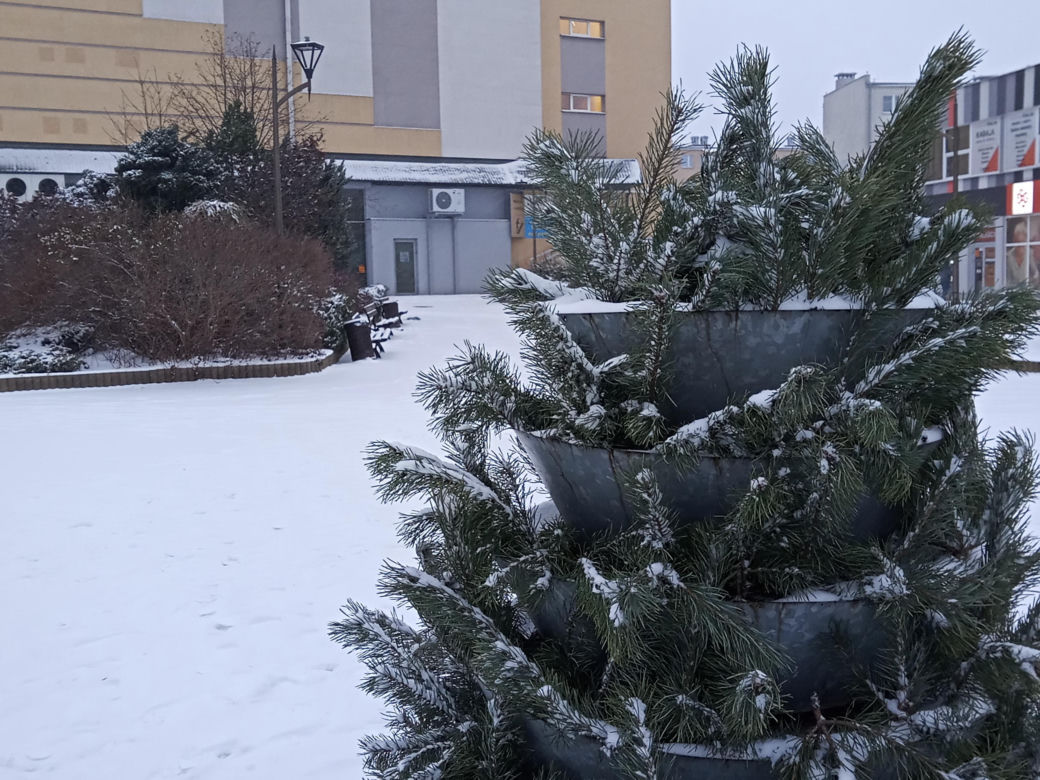 Zima w Świętokrzyskiem. Skarżysko-Kamienna w białym puchu. Zobacz zdjęcia