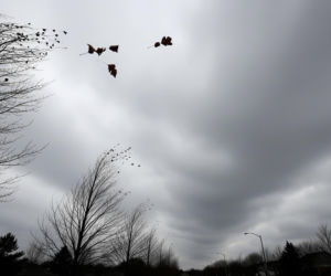 Dziś w Legionowie dużo chmur. Czy zimne podmuchy dają o sobie znać?