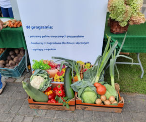 Kujawsko-Pomorskie Święto Plonów