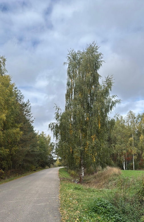 18-letni Patryk zginął w wypadku w Woli Sernickiej-Kolonii