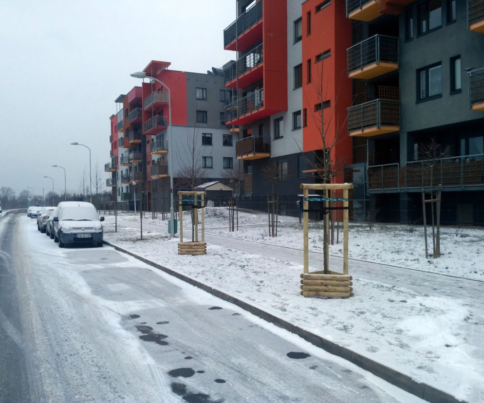 Drzewka na Cynamonowej posadzone w złym miejscu