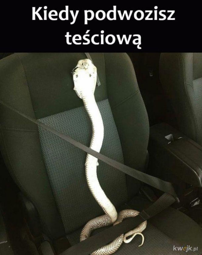 Tych memów o teściowych nie pokażesz mamie! Internauci nie mają litości