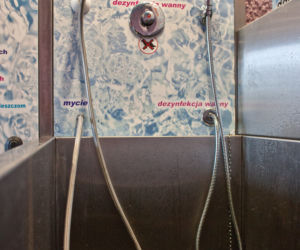 dog wash