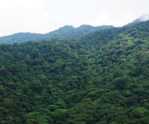 PANAMA