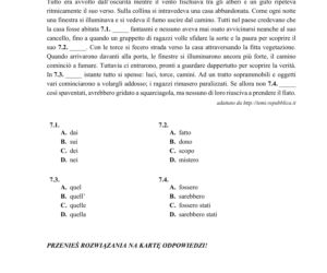 ARKUSZE CKE - Matura j. włoski - poziom rozszerzony 2019