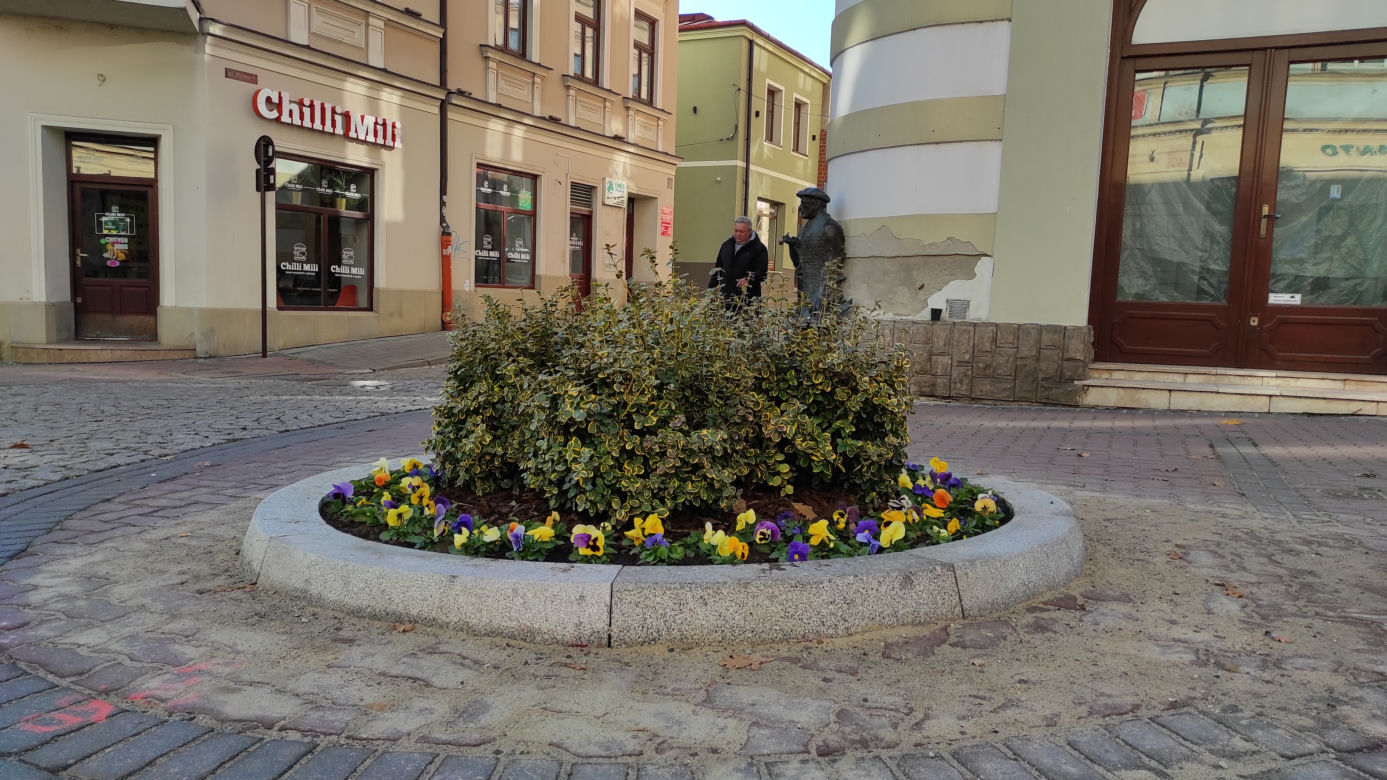 Klomby na ulicy Wałowej w Tarnowie