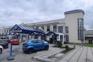 Jadowita żmija ukąsiła Miłosza