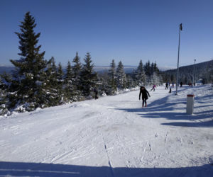zieleniec