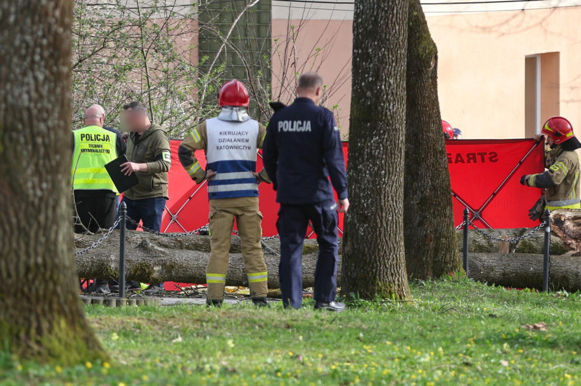Rabka-Zdrój. Trzy osoby, w tym sześcioletnie dziecko, zginęły przygniecione przez powalone pod naporem wiatru drzewo