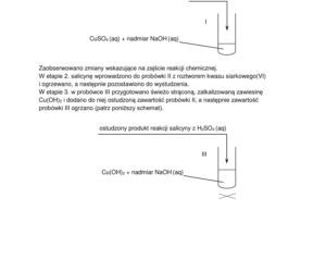Matura próbna z chemii rozszerzona 2026. ARKUSZE CKE [15.01.2026]