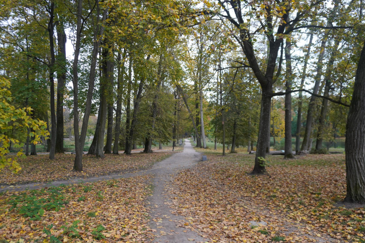 Park Lubomirskich w Białymstoku jesienią 