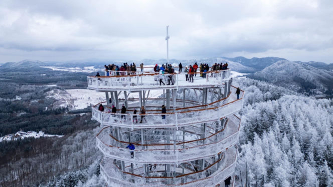 Najwyższa darmowa wieża widokowa w Polsce. Ma 38 metrów i widoki jak z bajki