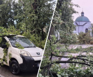 Potężna wichura w Wielkopolsce! Powalone drzewa i ogromne zniszczenia
