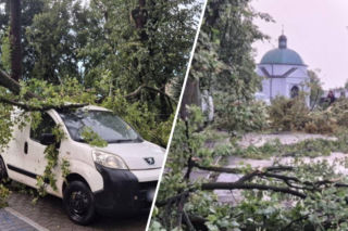 Potężna wichura w Wielkopolsce! Powalone drzewa i ogromne zniszczenia