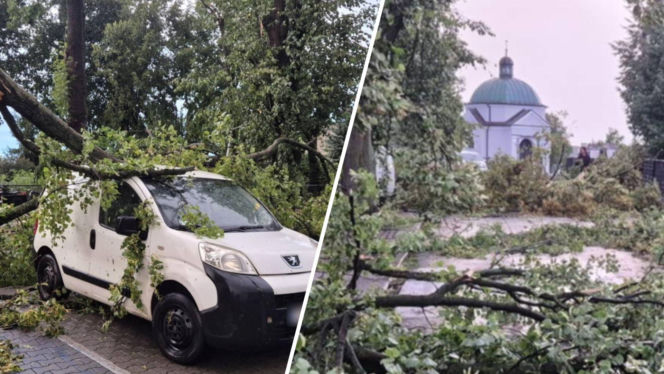 Potężna wichura w Wielkopolsce! Powalone drzewa i ogromne zniszczenia