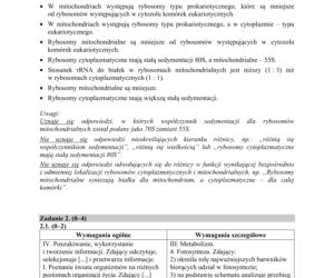 Matura 2019 z biologii [ARKUSZE CKE, ODPOWIEDZI]