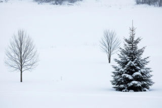 Białe święta. IMGW ujawnia, gdzie śnieg pojawi się na Boże Narodzenie?