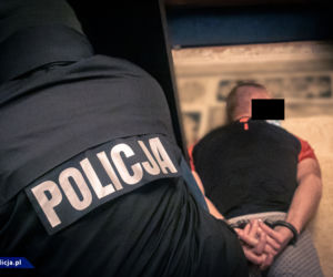 Gang dilerów rozbity